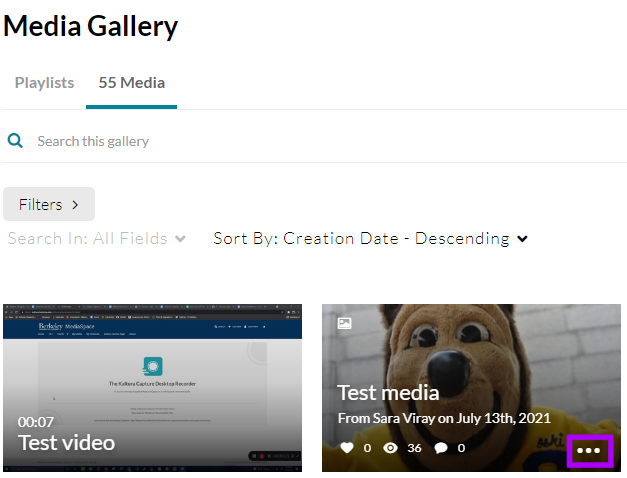 Screenshot of the Media Gallery with the three dots icon highlighted.