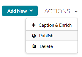 Screenshot of the actions dropdown menu with the Publish option highlighted.