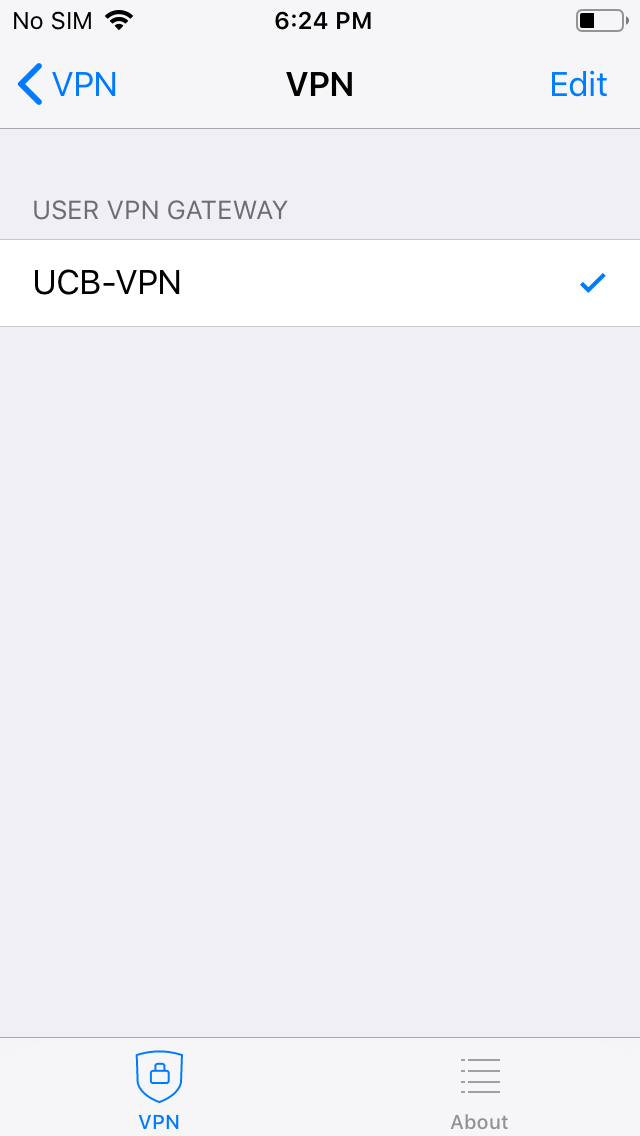 VPN Connections List