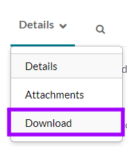 Screenshot of the Details dropdown menu with the Download option highlighted