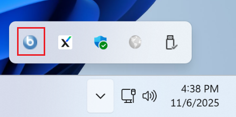 Windows BigFix Self Service