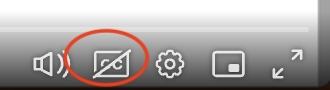 Enable Captions button (CC with a slash through it) circled in red