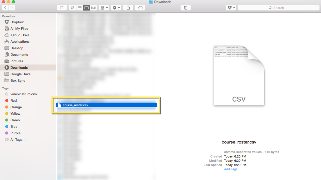 Screenshot of the course_roster.csv file in the local File Explorer.
