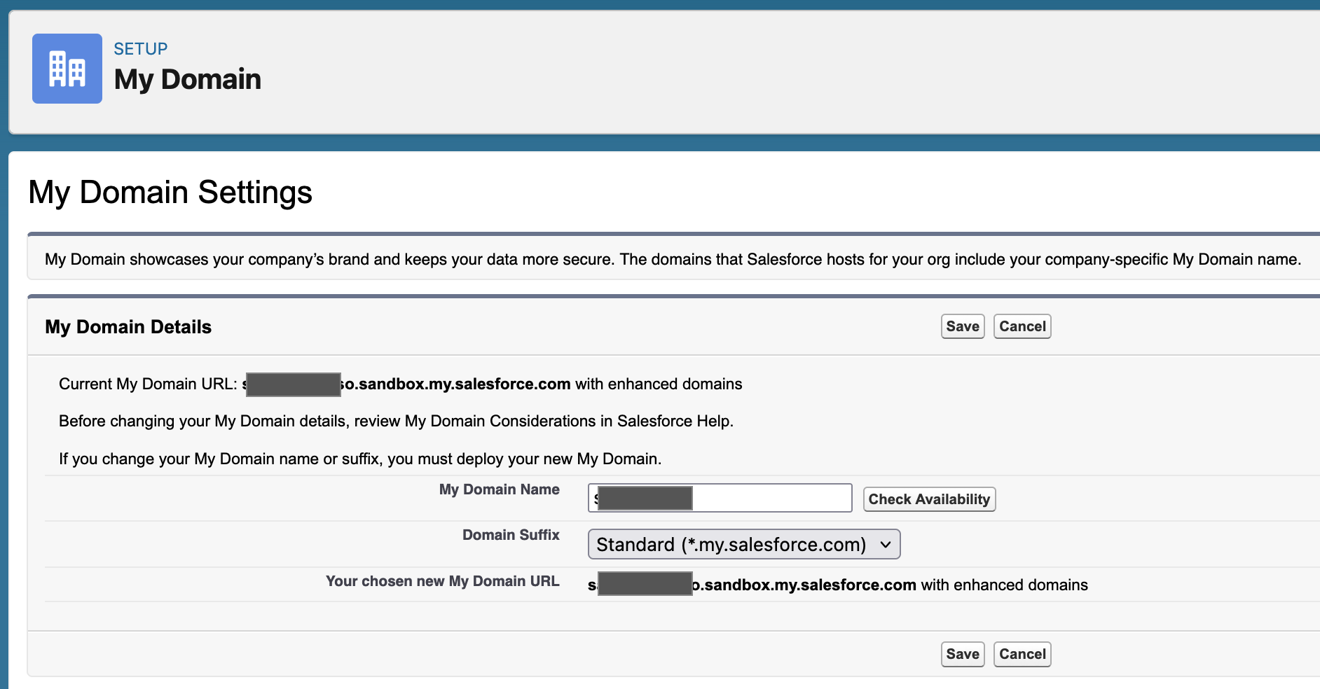 Screenshot of the "My Domain" page