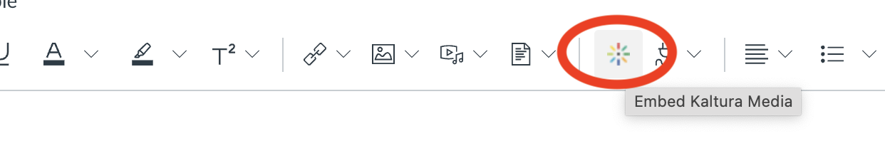 Rich Content Editor toolbar with Embed Kaltura Media button highlighted
