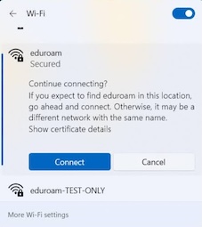 Windows 11 Continue and Accept Certificate