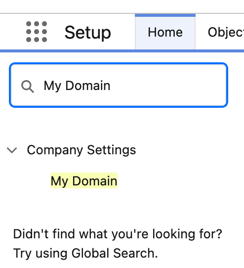 Screenshot of the setup page with "My Domain" selected in the search box