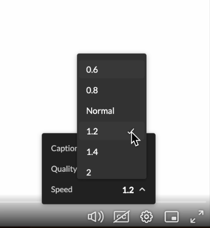 Gear menu with Speed selected and 1.2 in the Speed menu selected