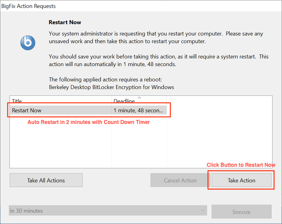 BigFix Action Request window highlighting the required action, the deadline to take the action, and the Take Action button.